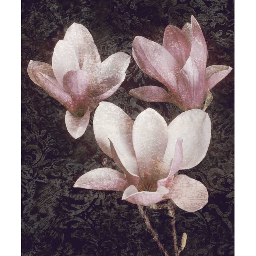 Pink Magnolias II Poster Print by John Seba-VARPDXIS4620 Image 1