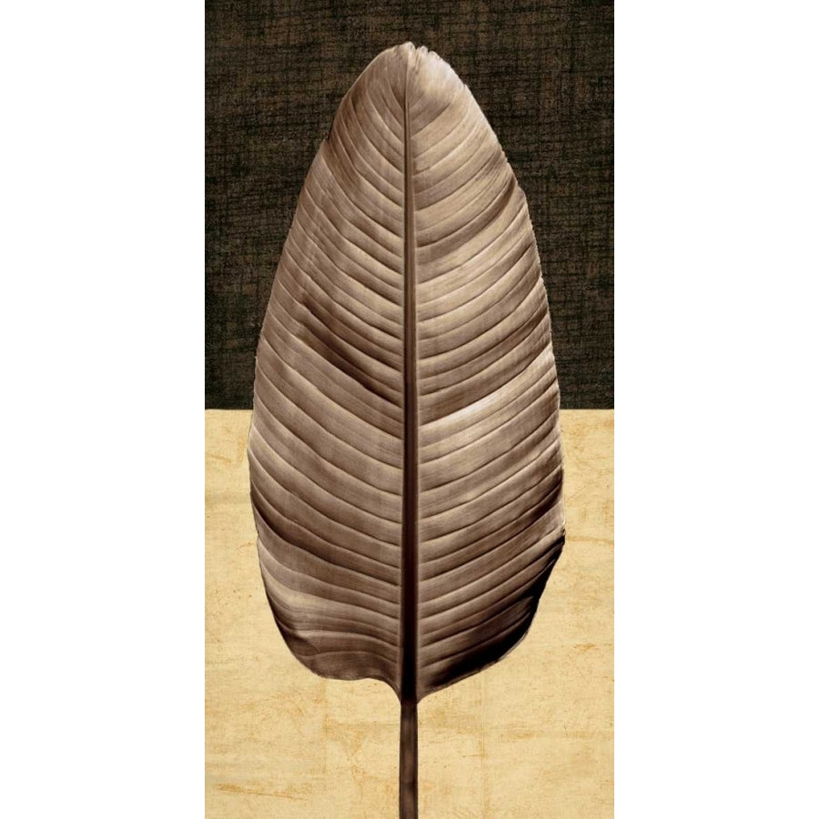 Palm Leaf II Poster Print by John Seba-VARPDXIS5196 Image 1