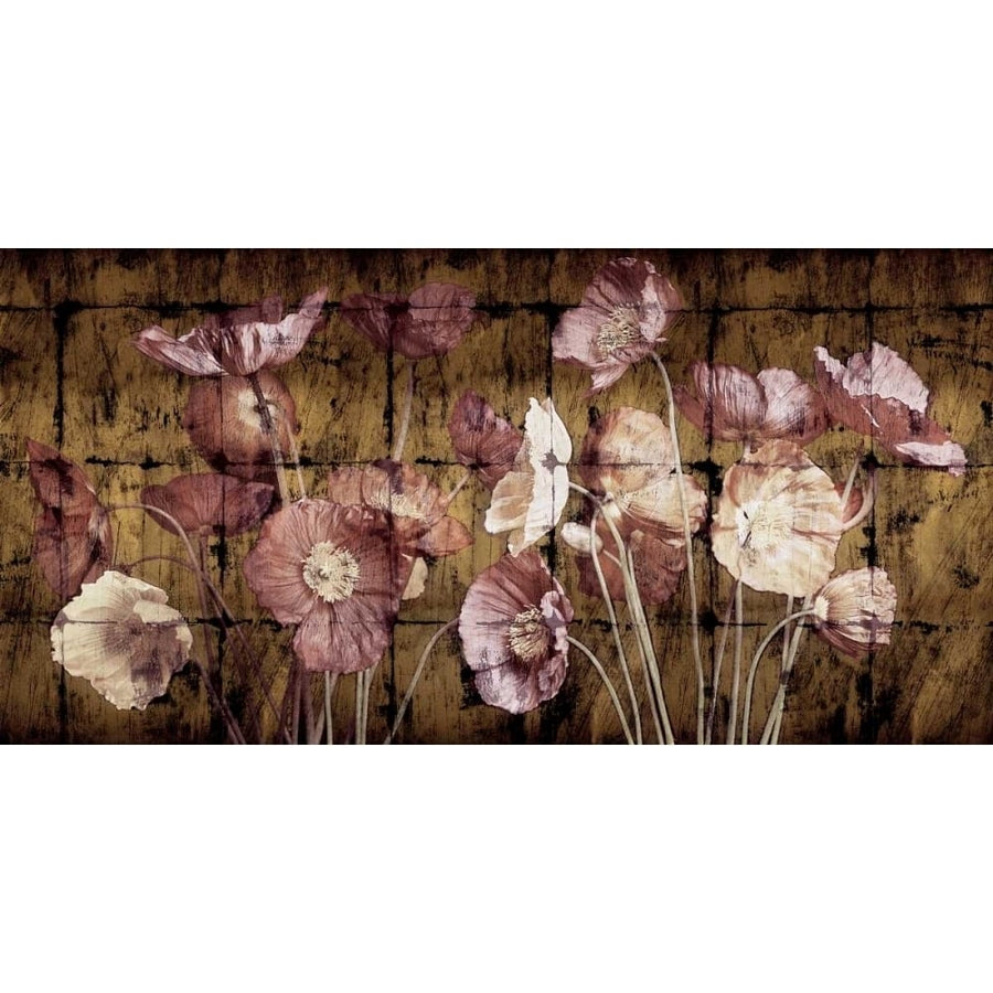 Poppies on Gold Poster Print by John Seba-VARPDXIS5190 Image 1