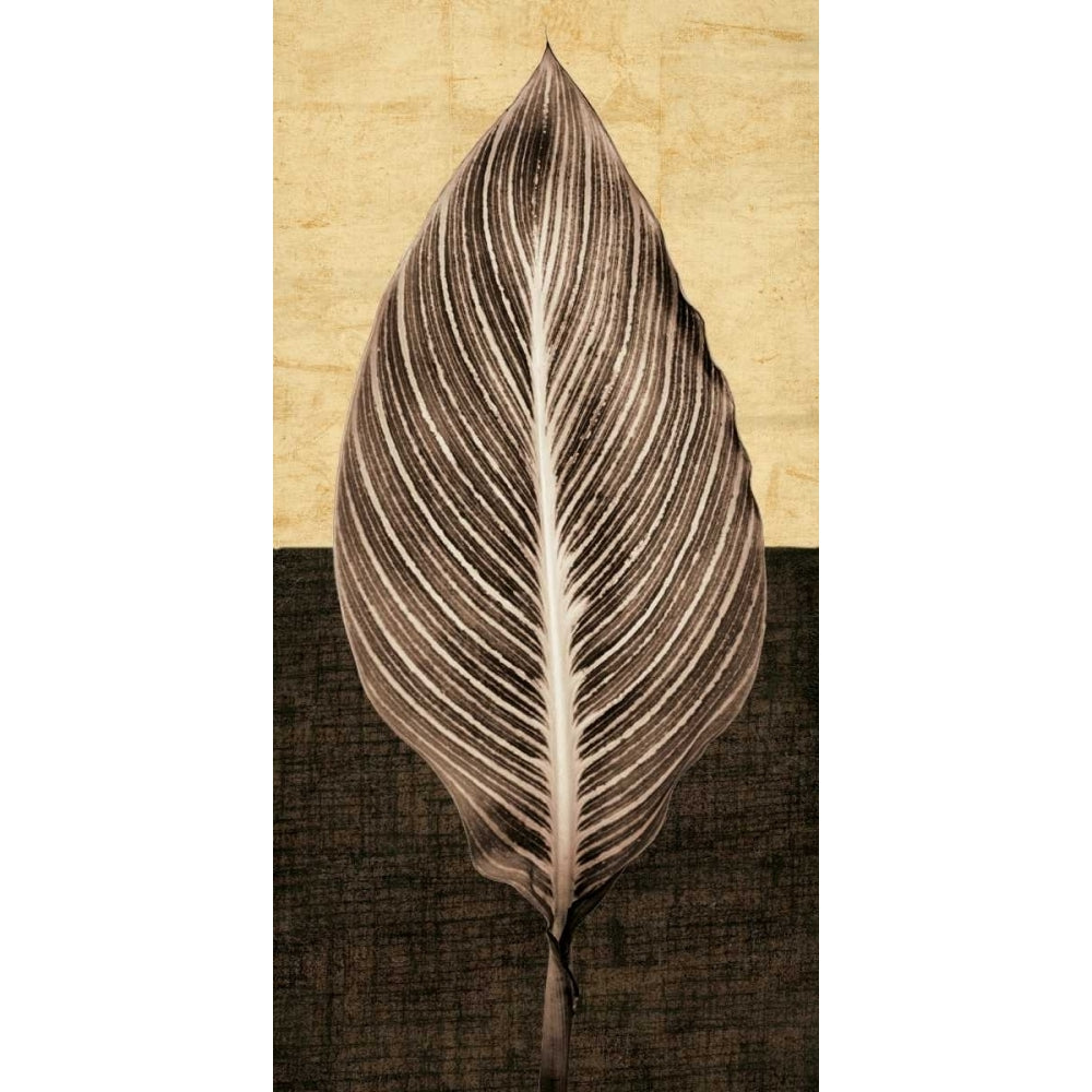 Palm Leaf I Poster Print by John Seba-VARPDXIS5195 Image 1