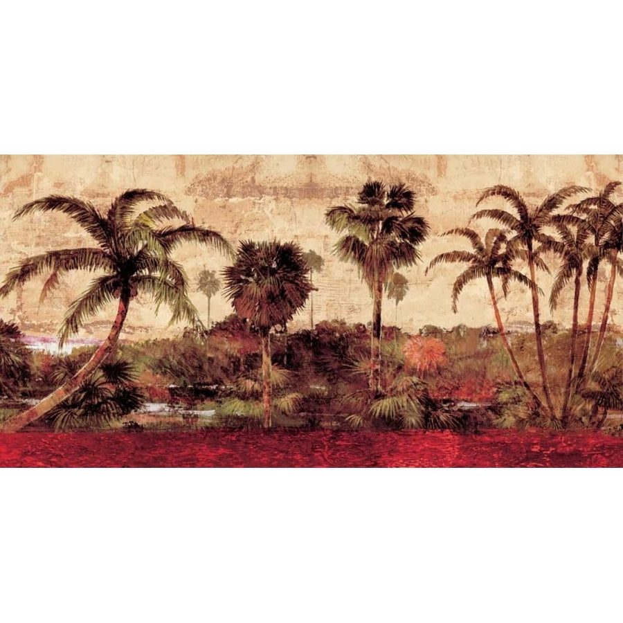 Palm Garden Poster Print by John Seba-VARPDXIS5369 Image 1