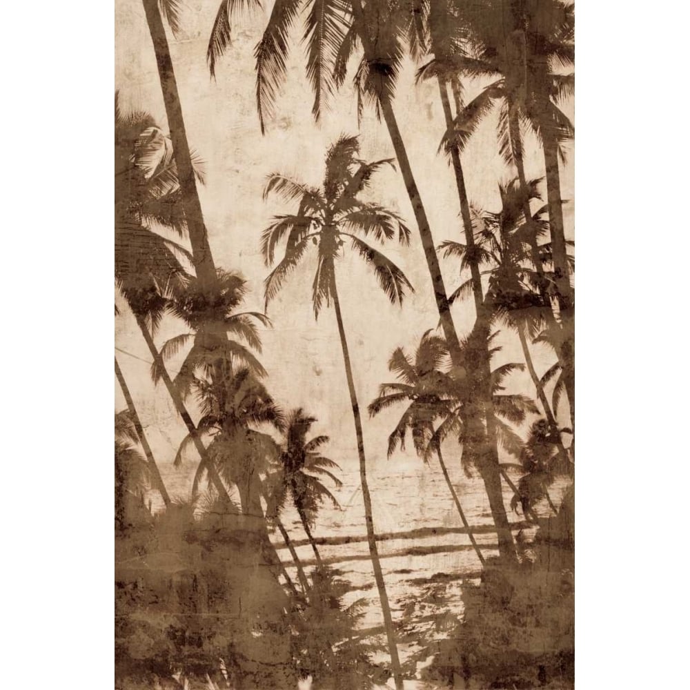 Trade Winds I Poster Print by John Seba-VARPDXIS5377 Image 1