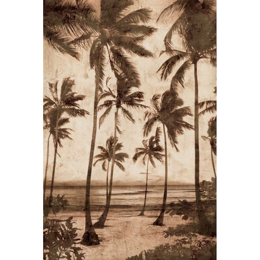 Trade Winds II Poster Print by John Seba-VARPDXIS5378 Image 1