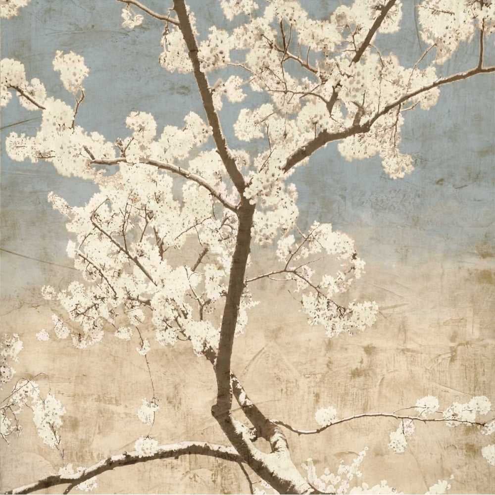 Cherry Blossoms I Poster Print by John Seba-VARPDXIS5803 Image 1