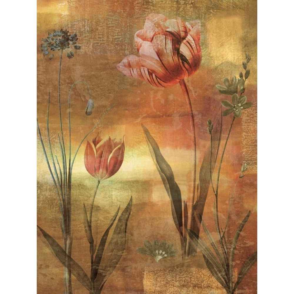 Tulip Garden II Poster Print by John Seba-VARPDXIS6207 Image 1