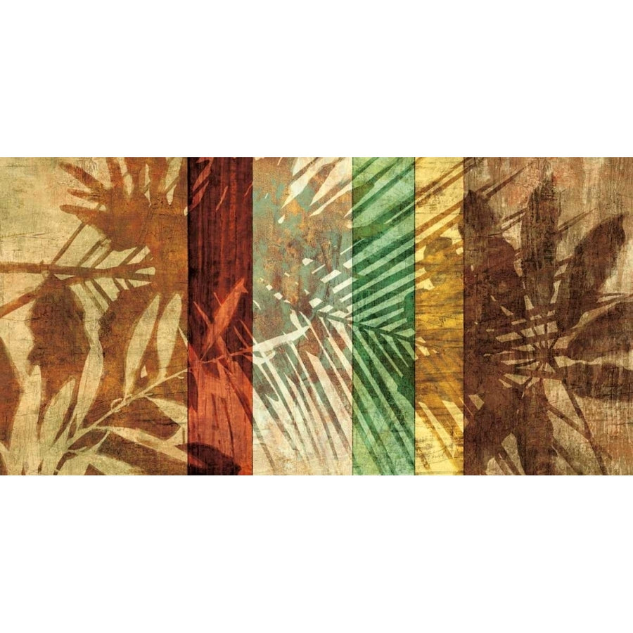 Palm Shadows I Poster Print by John Seba-VARPDXIS6063 Image 1