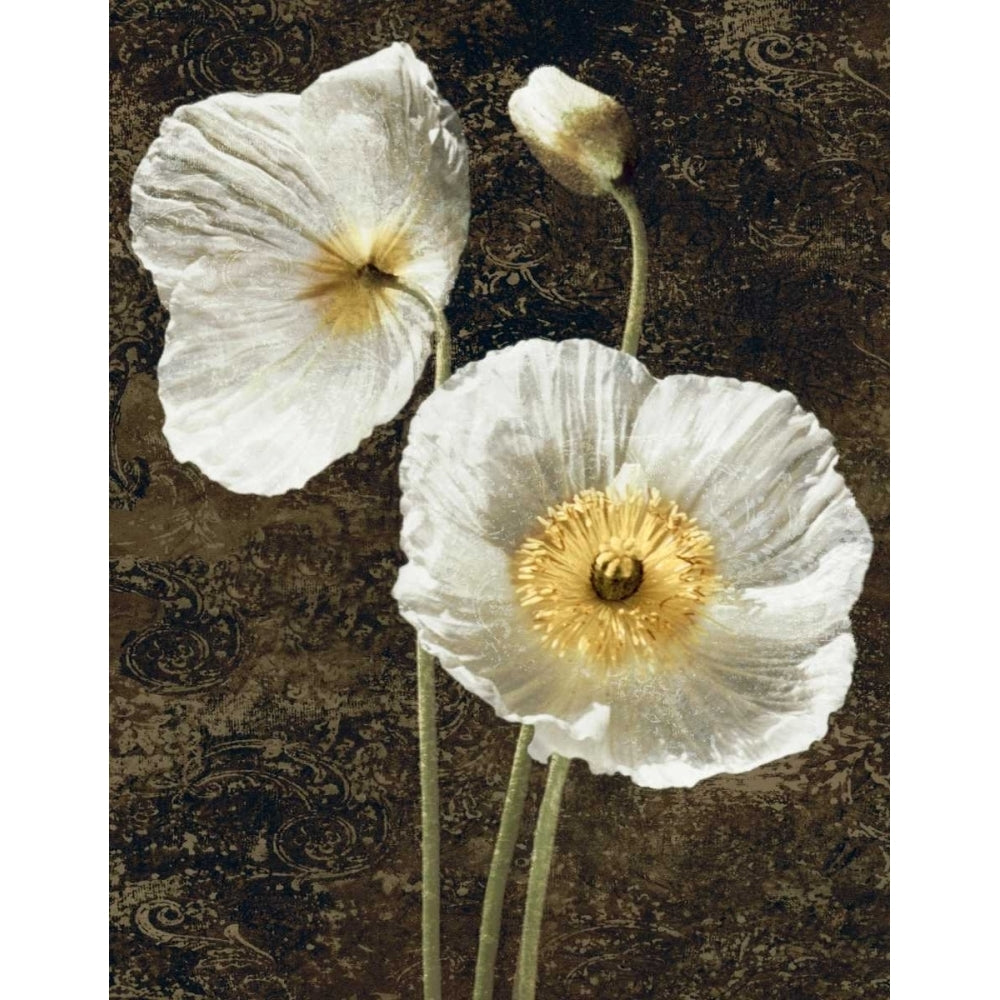 Poppies I Poster Print by John Seba-VARPDXIS4614 Image 1