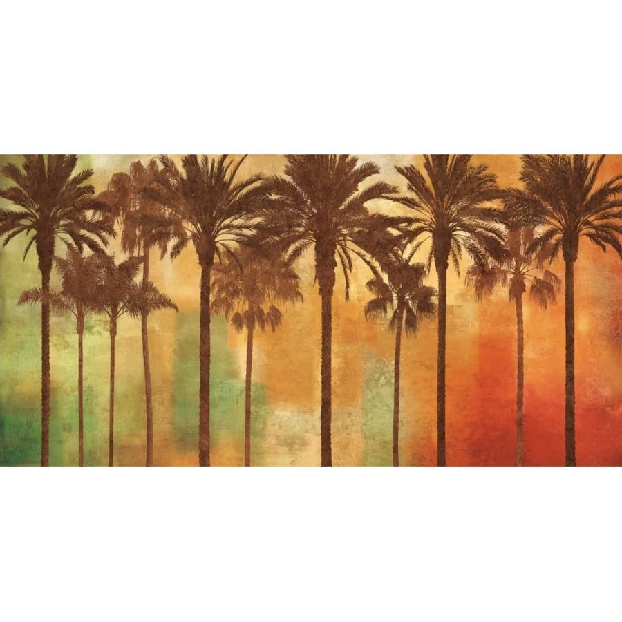 Palm Paradise Poster Print by John Seba-VARPDXIS6850 Image 1