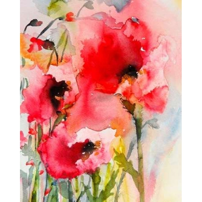 Summer Poppies Poster Print by Karin Johannesson-VARPDXJ304D Image 1