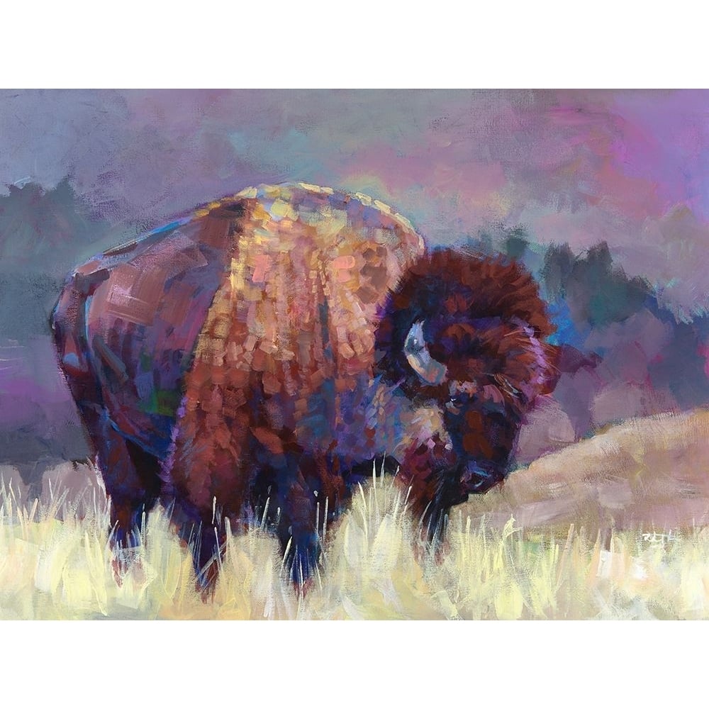 Buffalo Roam Poster Print - Robert Jackson-VARPDXJ380D Image 1