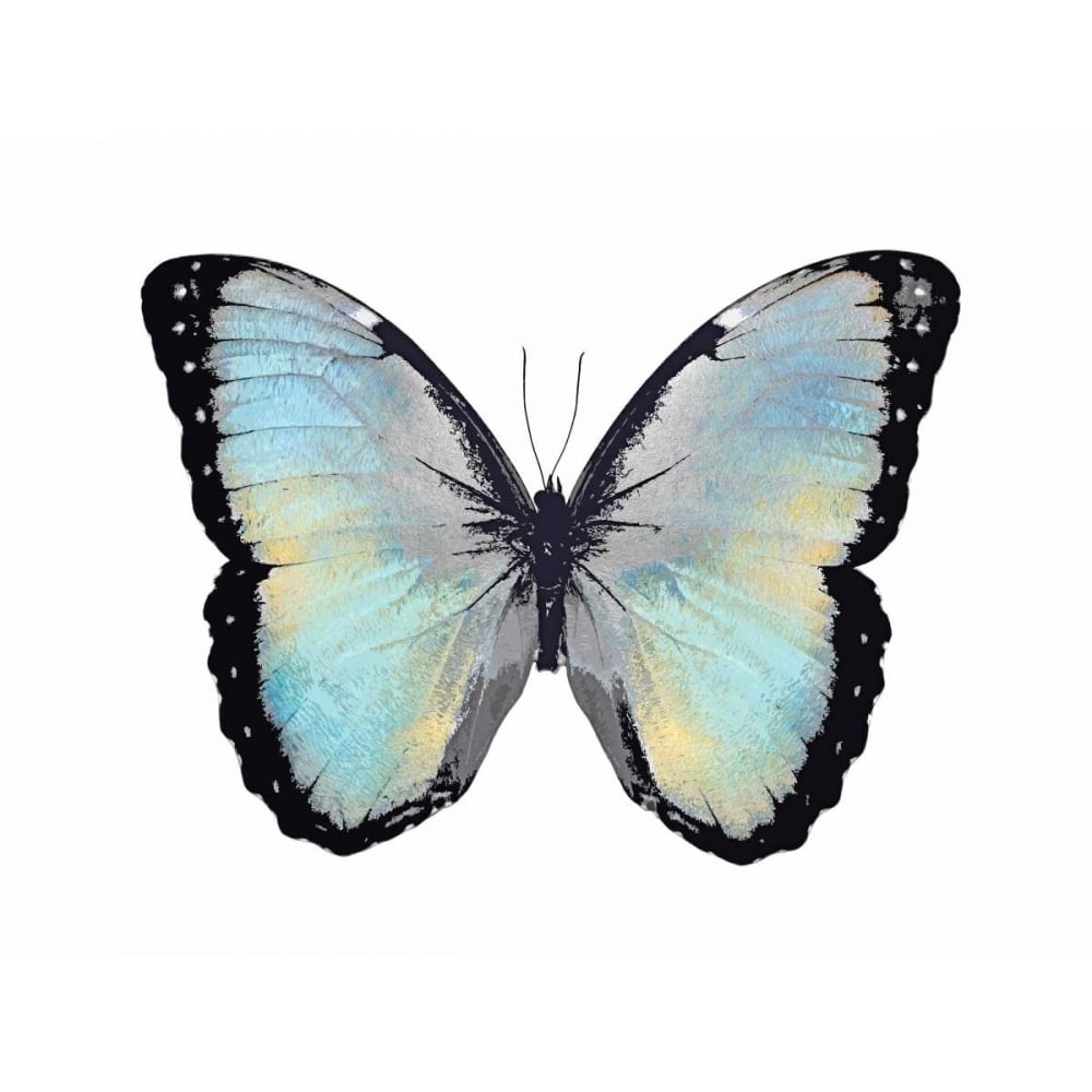 Blue Hue Butterfly Poster Print by Julia Bosco-VARPDXJBC113331 Image 1