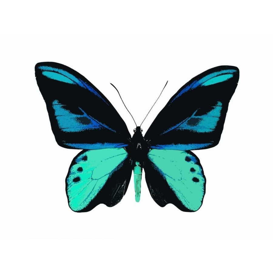 Vibrant Butterfly I Poster Print by Julia Bosco-VARPDXJBC113330 Image 1