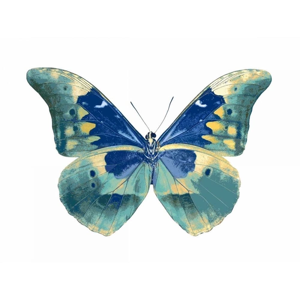 Butterfly in Aqua I Poster Print by Julia Bosco-VARPDXJBC113358 Image 1