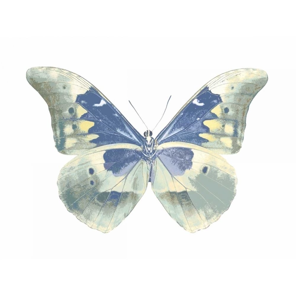 Butterfly in Aqua II Poster Print by Julia Bosco-VARPDXJBC113359 Image 1