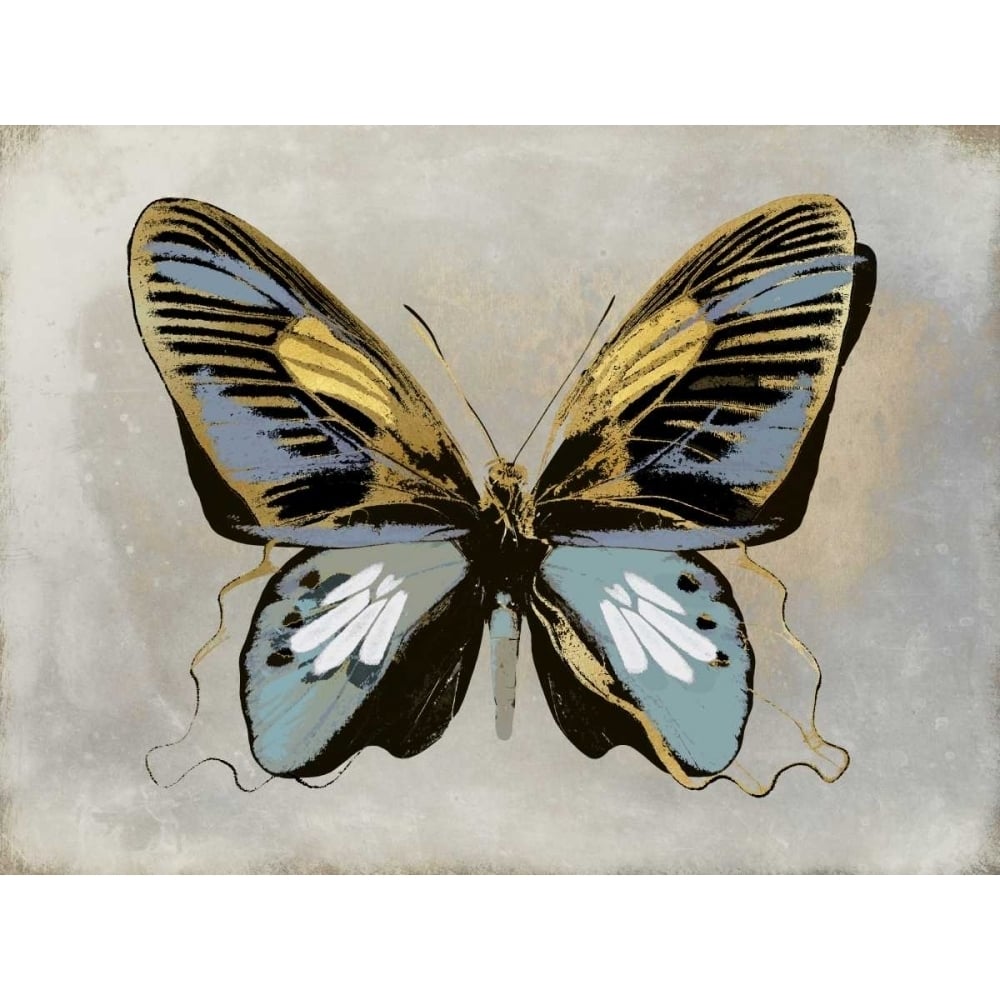 Butterfly Study II Poster Print by Julia Bosco-VARPDXJBC113434 Image 1