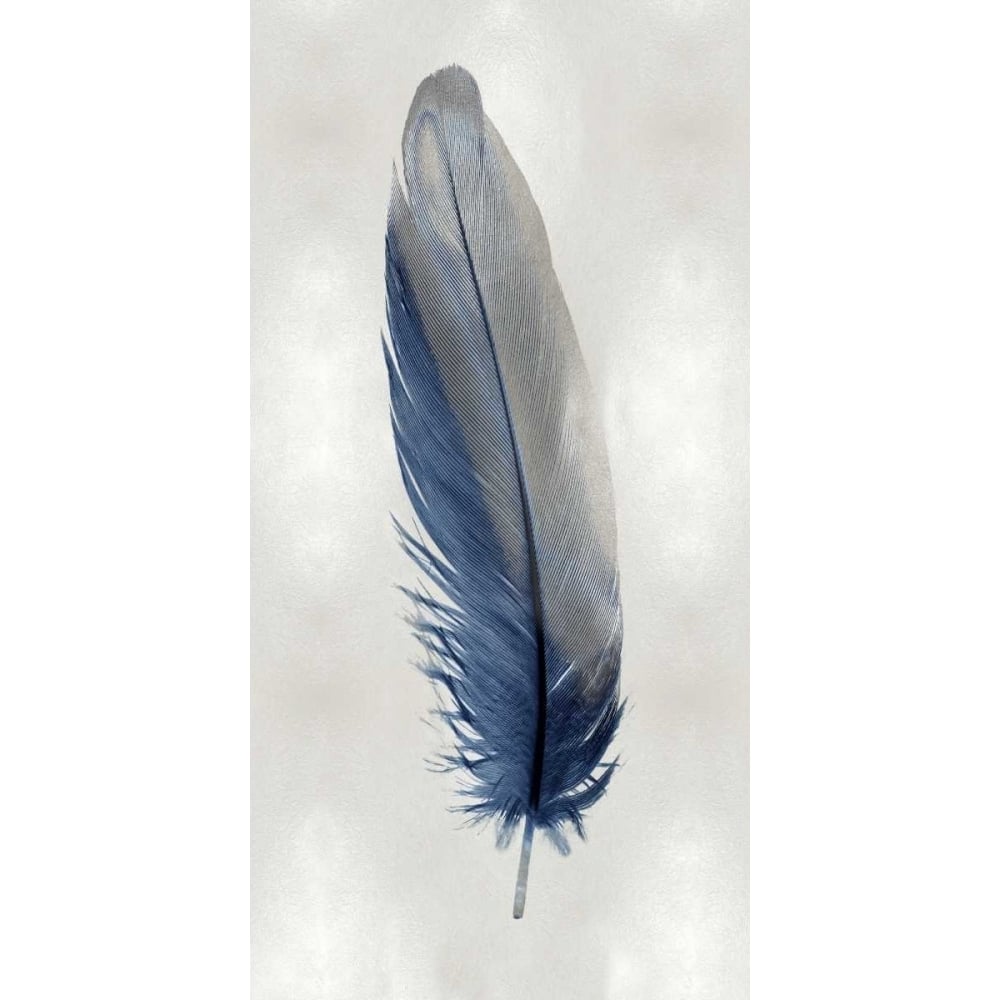 Blue Feather on Silver I Poster Print by Julia Bosco-VARPDXJBC114214 Image 1