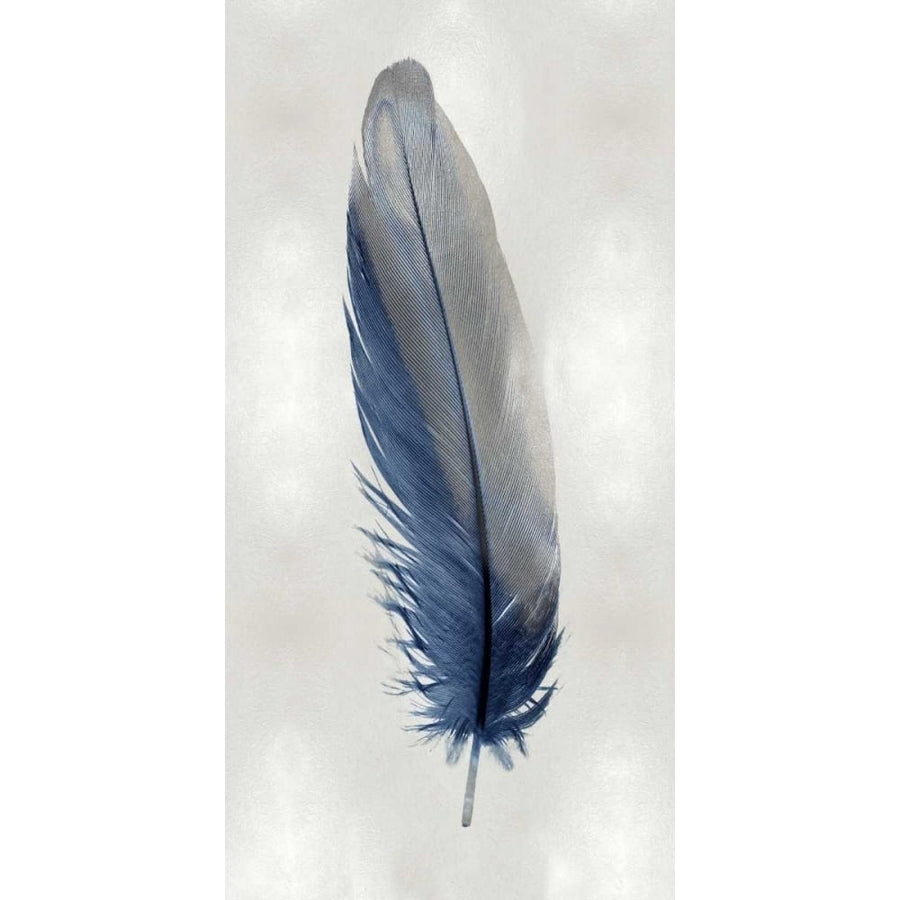 Blue Feather on Silver I Poster Print by Julia Bosco-VARPDXJBC114214 Image 1