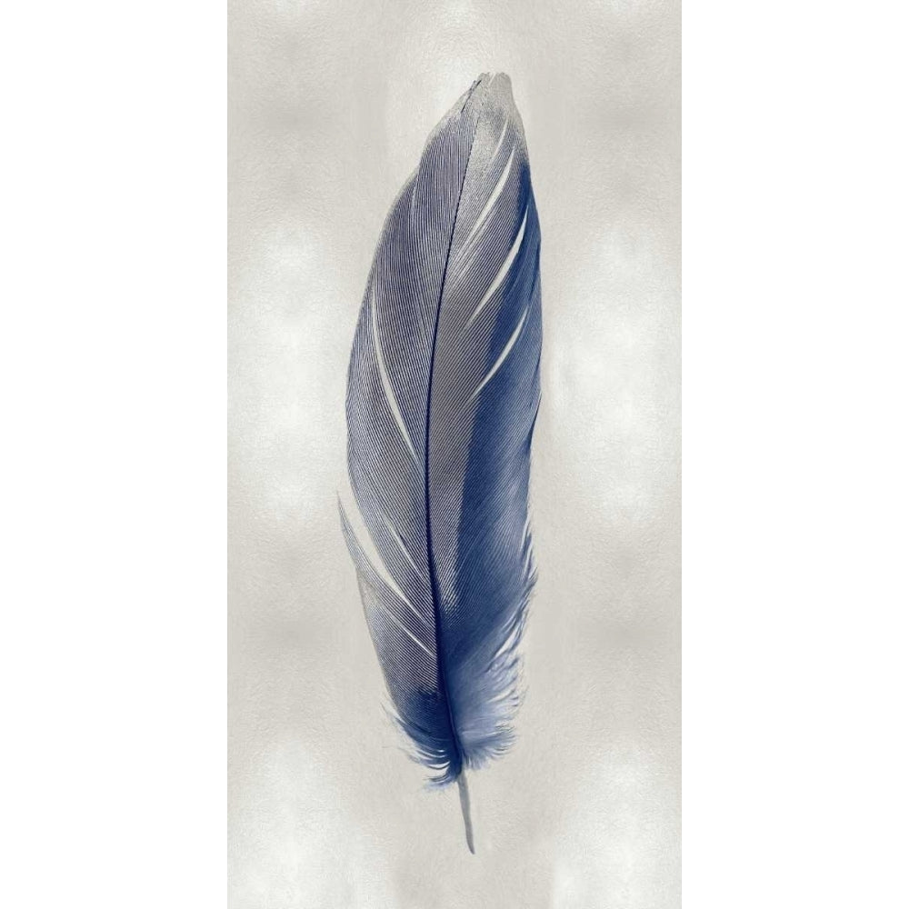 Blue Feather on Silver II Poster Print by Julia Bosco-VARPDXJBC114215 Image 1