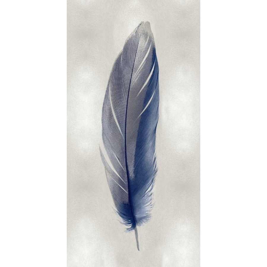 Blue Feather on Silver II Poster Print by Julia Bosco-VARPDXJBC114215 Image 1