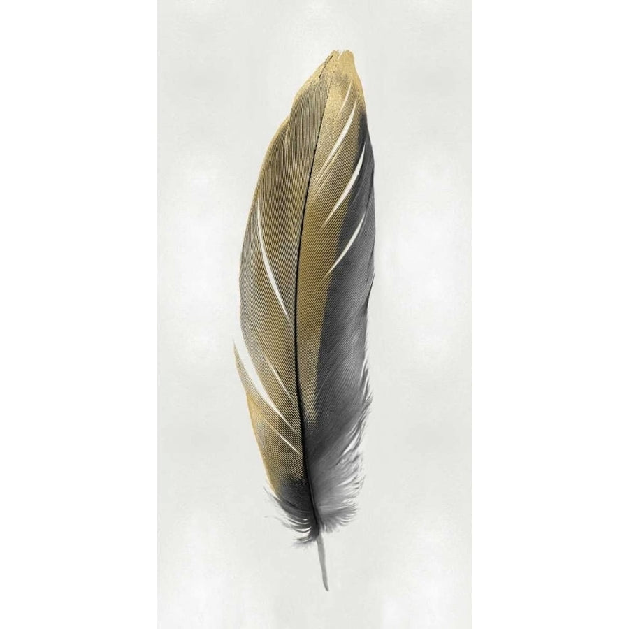 Gold Feather on Silver II Poster Print by Julia Bosco-VARPDXJBC114219 Image 1