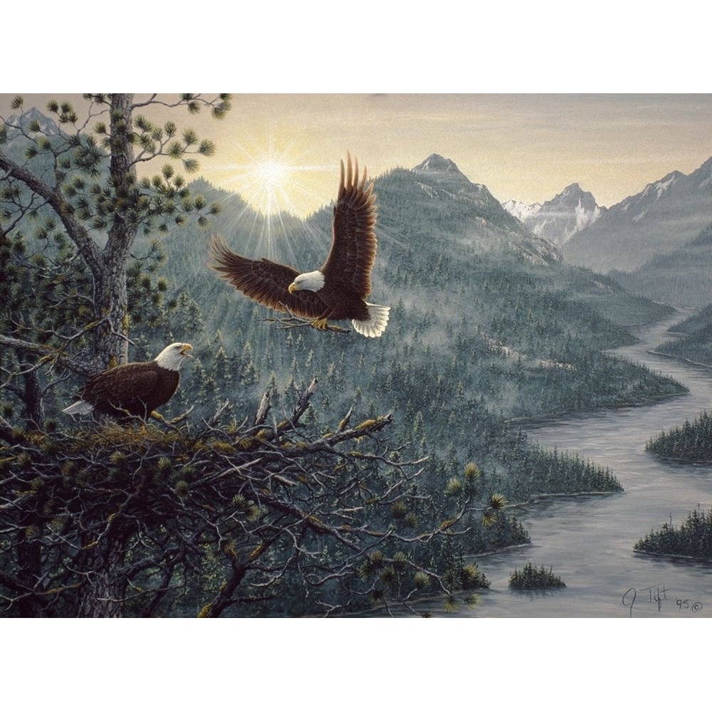 Eagles Nest Poster Print - Jeff Tift-VARPDXJEFTIF7770 Image 1