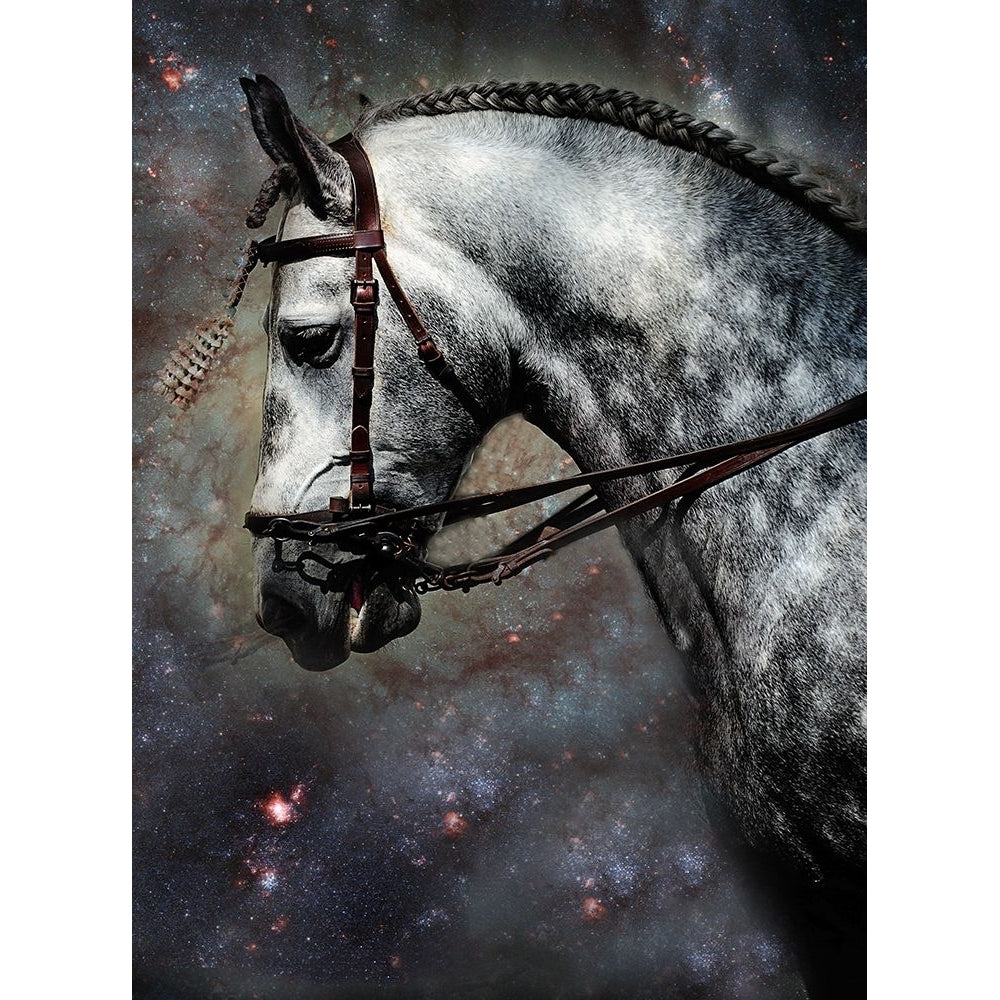 The Horse Among the Stars Poster Print - Rainbow Fine Jenny-VARPDXJENRAI237204 Image 1