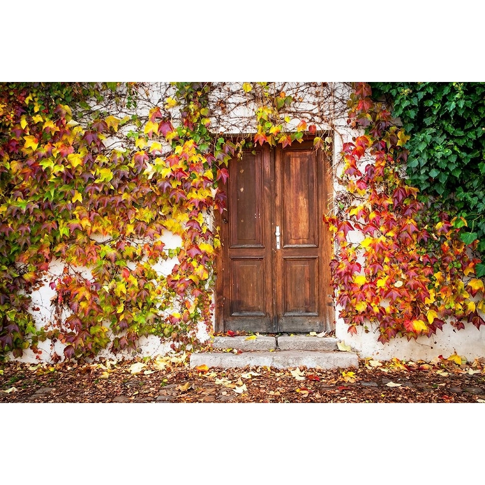 Autumn Wooden Doorway in Prague Poster Print - Rainbow Fine Jenny-VARPDXJENRAI236257 Image 1