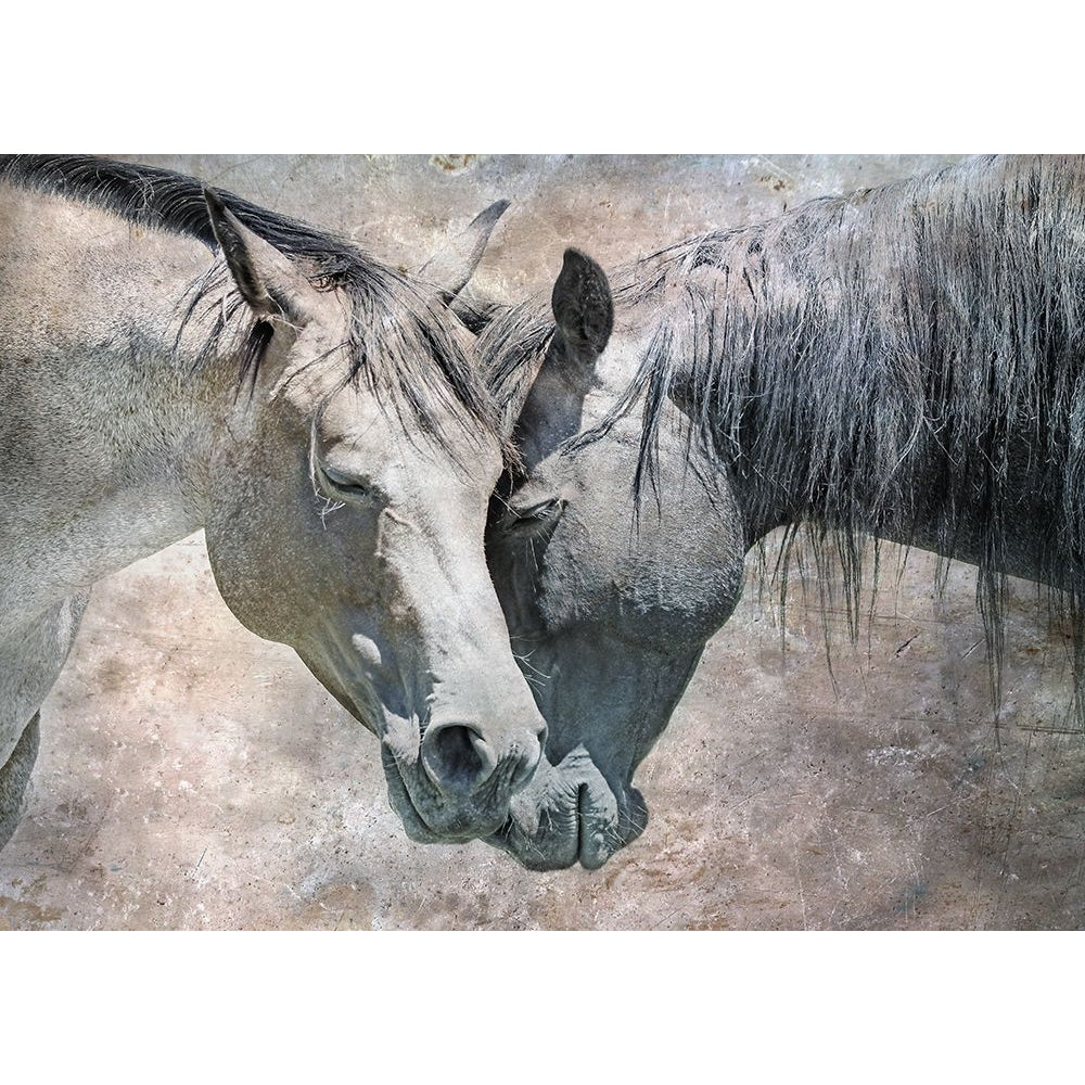 Horse Love Rustic Poster Print - Jennie Marie Schell-VARPDXJENSCH274551 Image 1