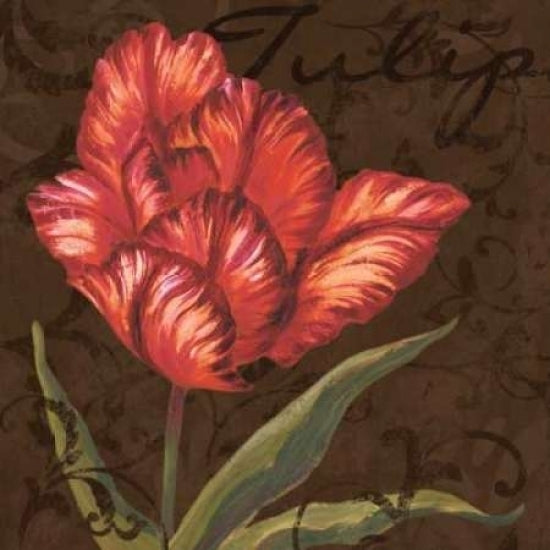 Tulipa I Poster Print by Jillian Jeffrey-VARPDXJFY065 Image 1