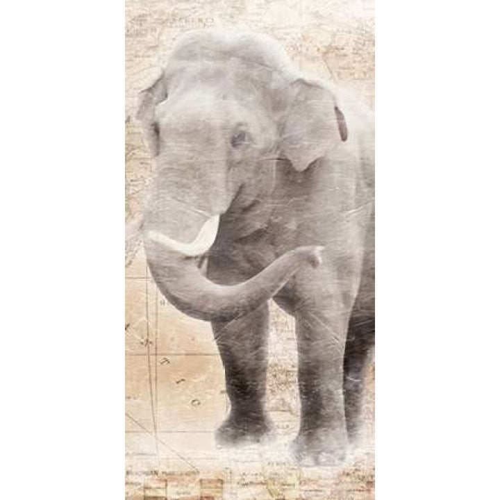 African Traveling Animals Elephant Poster Print by Jace Grey-VARPDXJGPL240D Image 1