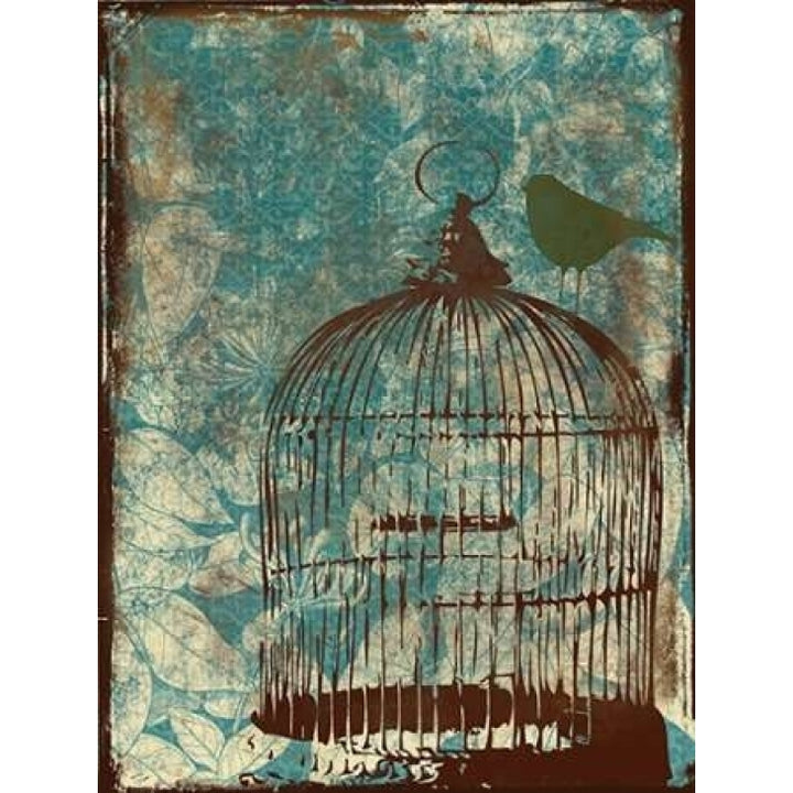 Birdcage on Teal 1 Poster Print by Jace Grey-VARPDXJGRC016A Image 1