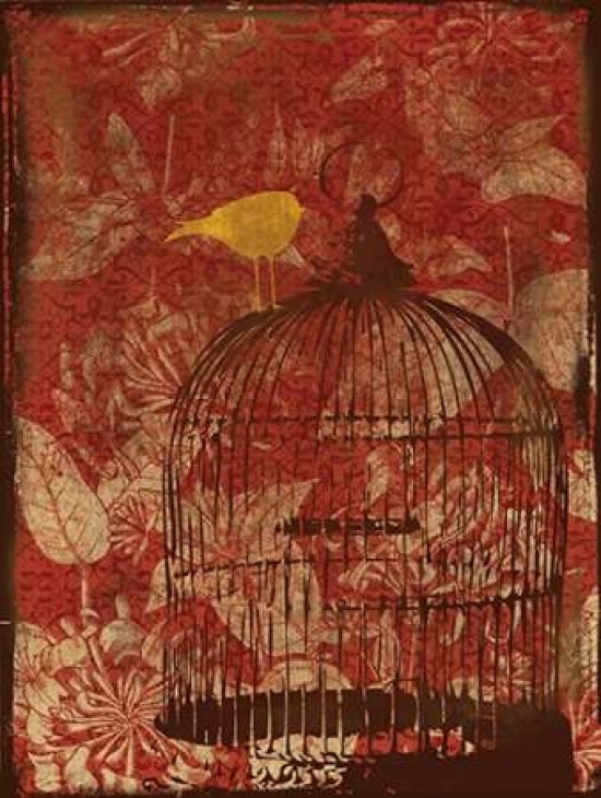 Birdcage on Red 1 Poster Print by Jace Grey-VARPDXJGRC016C Image 1