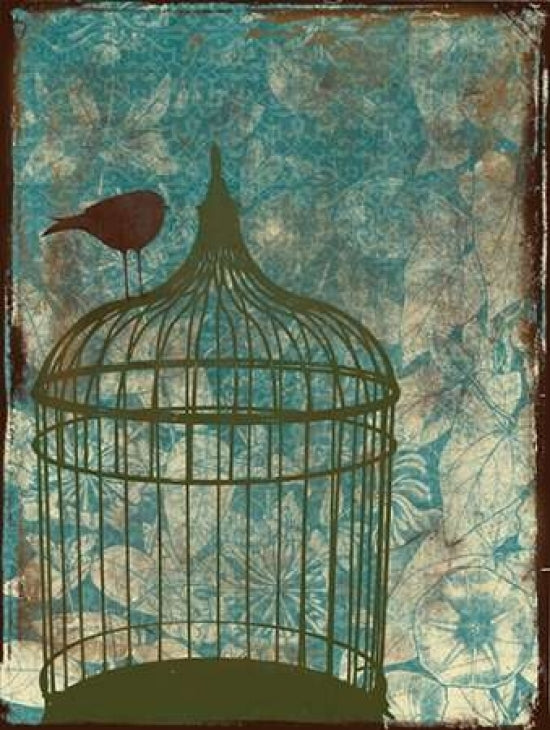 Birdcage on Teal 2 Poster Print by Jace Grey-VARPDXJGRC016B Image 1