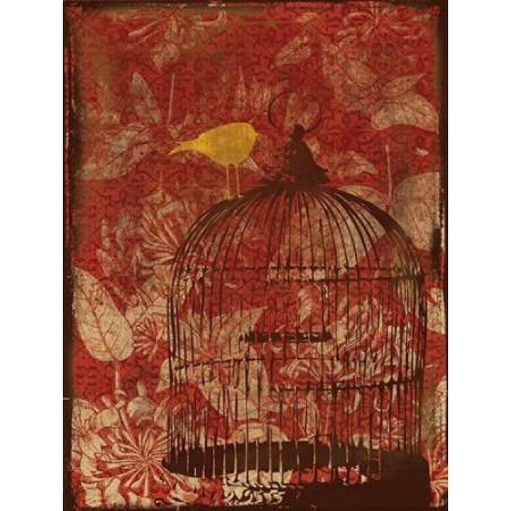 Birdcage on Red 1 Poster Print by Jace Grey-VARPDXJGRC016C Image 1