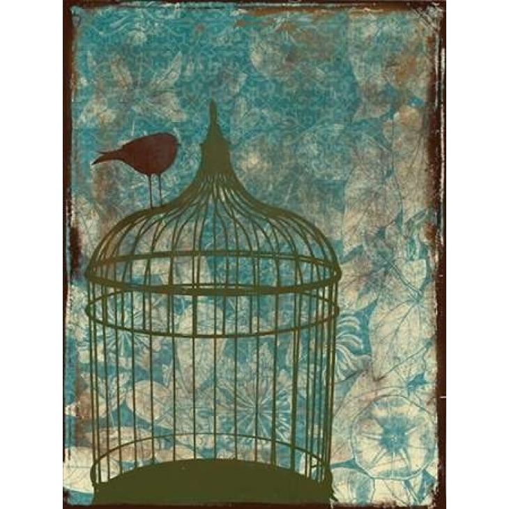 Birdcage on Teal 2 Poster Print by Jace Grey-VARPDXJGRC016B Image 2