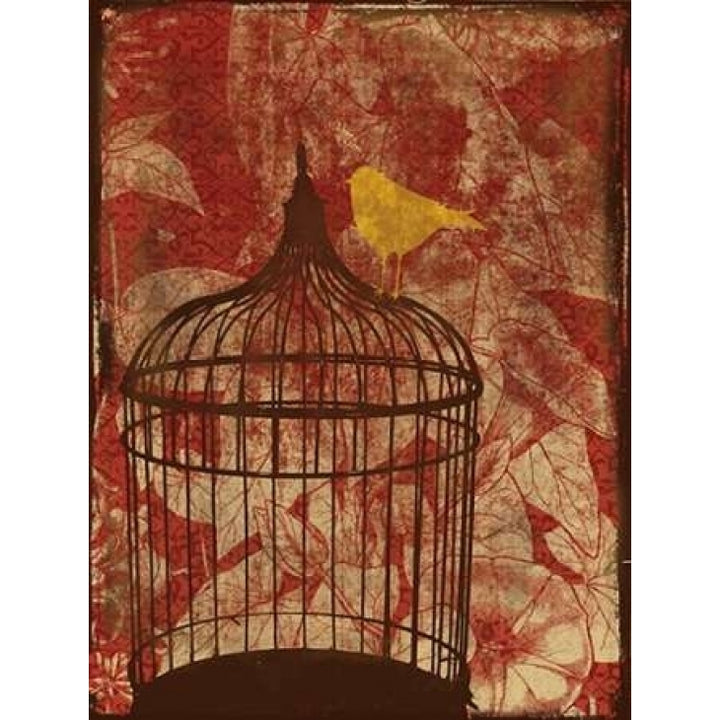 Birdcage on Red 2 Poster Print by Jace Grey-VARPDXJGRC016D Image 1