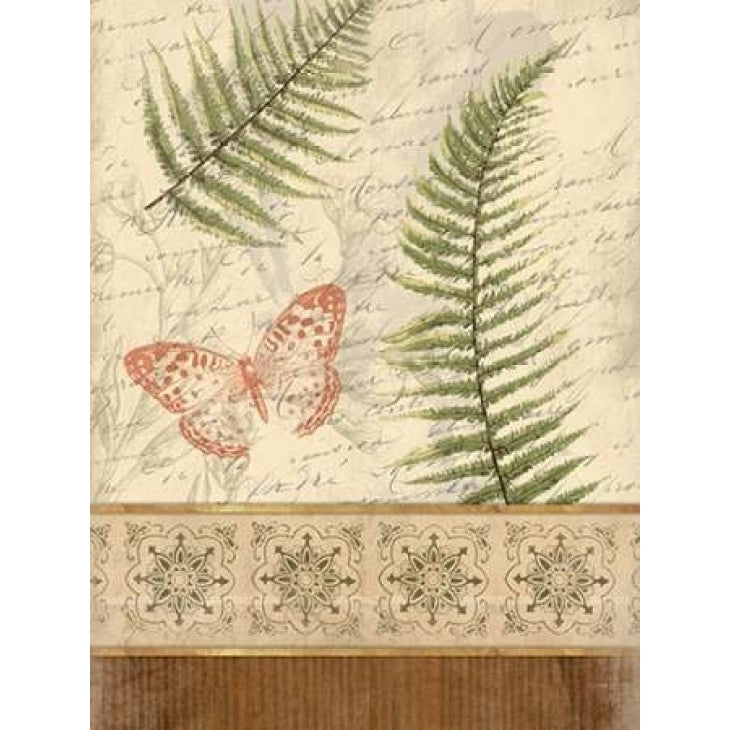 The Butterfly Fern Poster Print by Jace Grey-VARPDXJGRC183B Image 2