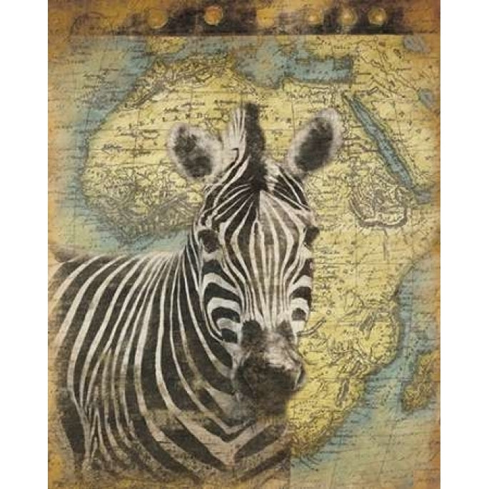 Zebra Africa Poster Print by Jace Grey-VARPDXJGRC196A Image 1