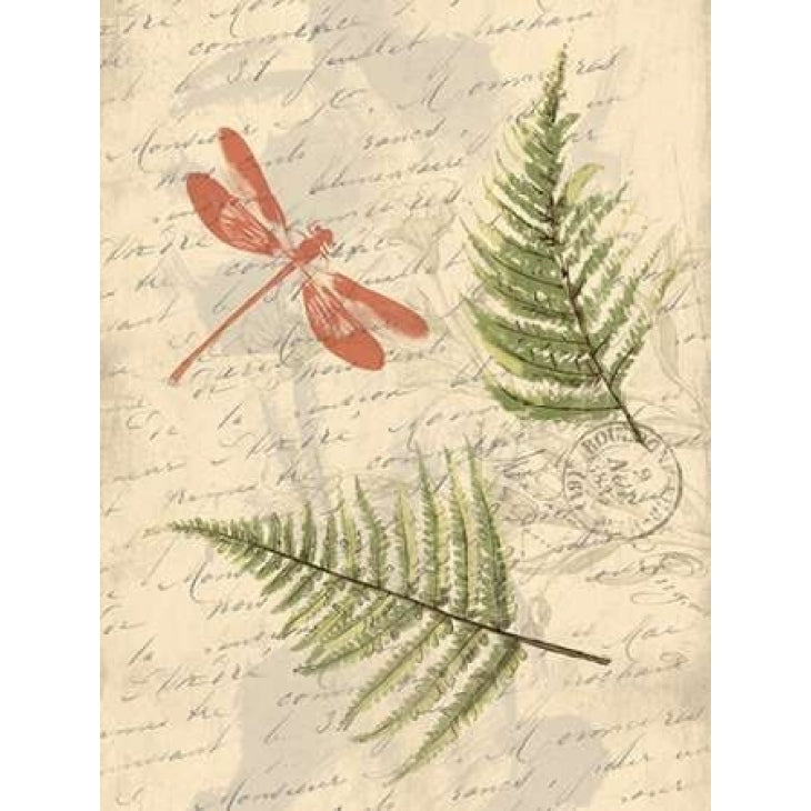 Ferns Poster Print by Jace Grey-VARPDXJGRC203A Image 1