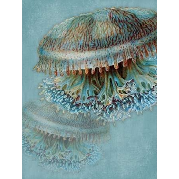 Blue Sea Poster Print by Jace Grey-VARPDXJGRC207A Image 1