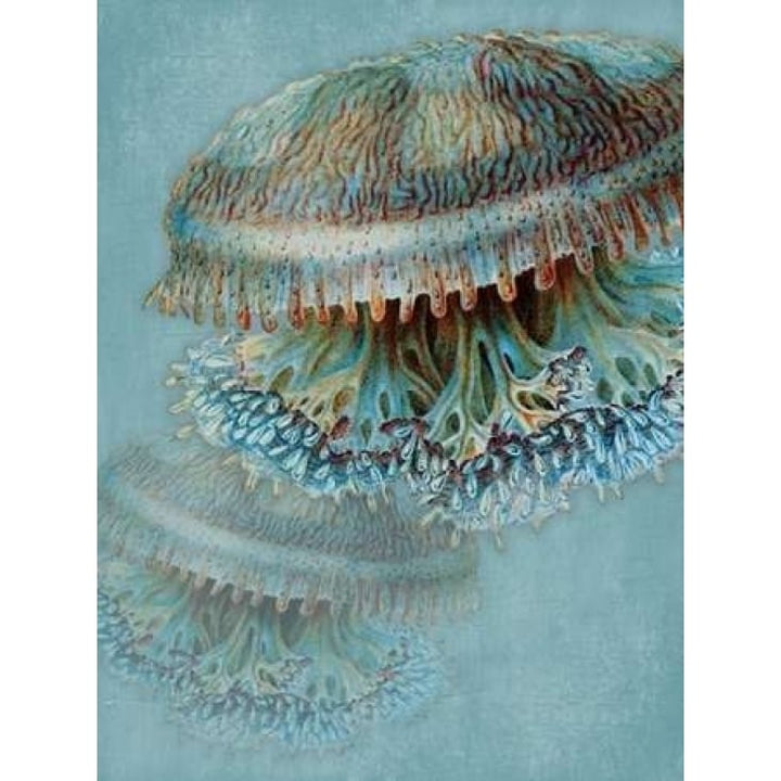 Blue Sea Poster Print by Jace Grey-VARPDXJGRC207A Image 2