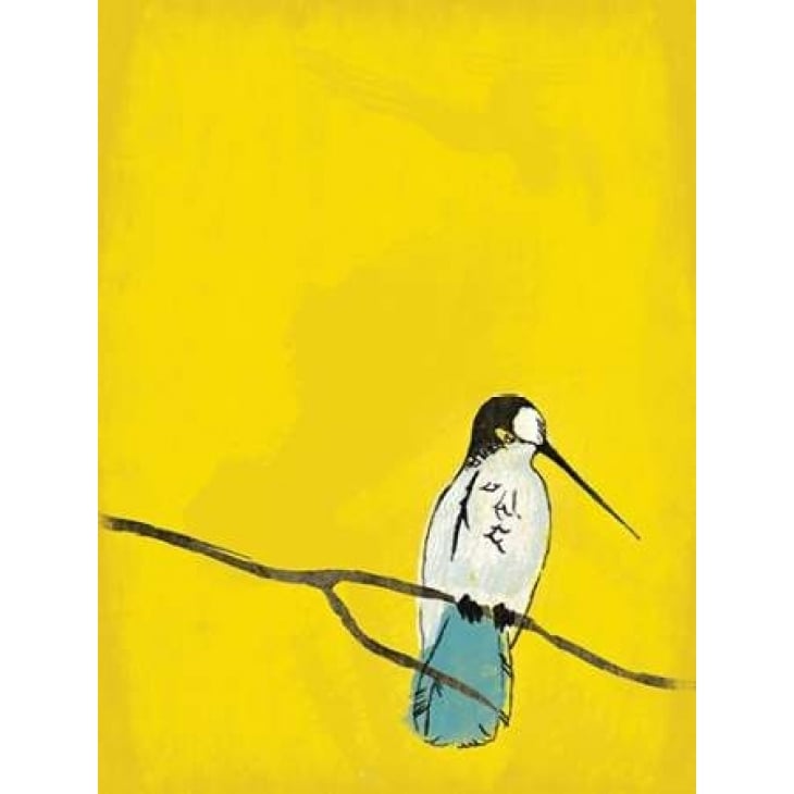 Yellow Bird Poster Print by Jace Grey-VARPDXJGRC220A Image 1