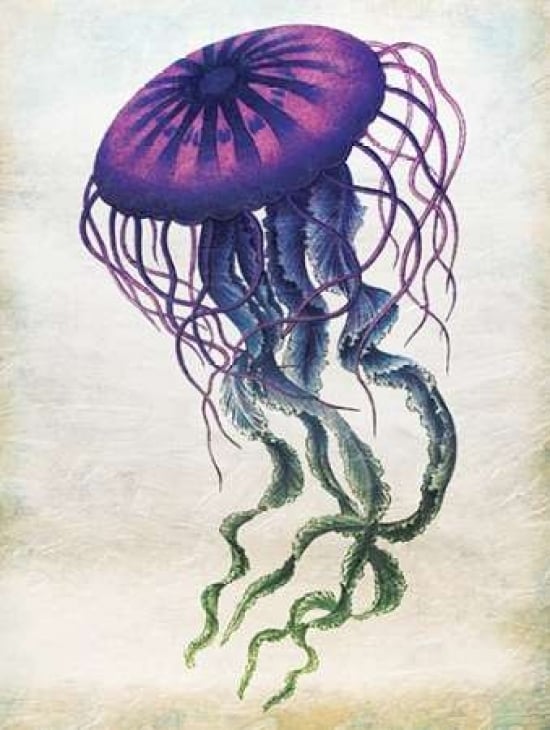 Colored Jellyfish Poster Print by Jace Grey-VARPDXJGRC227B Image 1