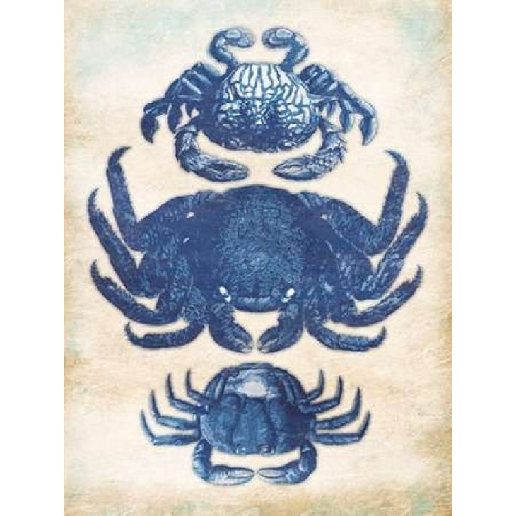 3 Crabs Poster Print by Jace Grey-VARPDXJGRC226A Image 1