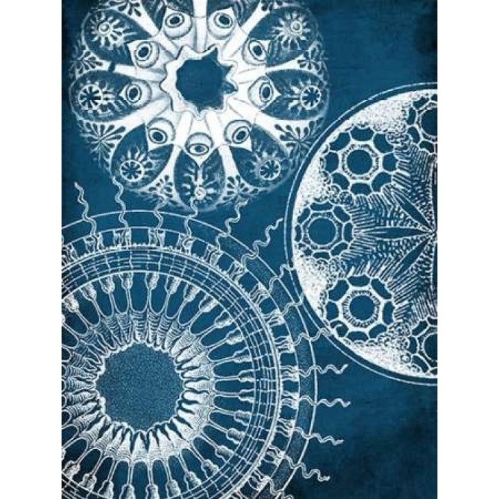 Blue patterns Poster Print by Jace Grey-VARPDXJGRC231A Image 1