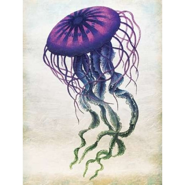 Colored Jellyfish Poster Print by Jace Grey-VARPDXJGRC227B Image 2