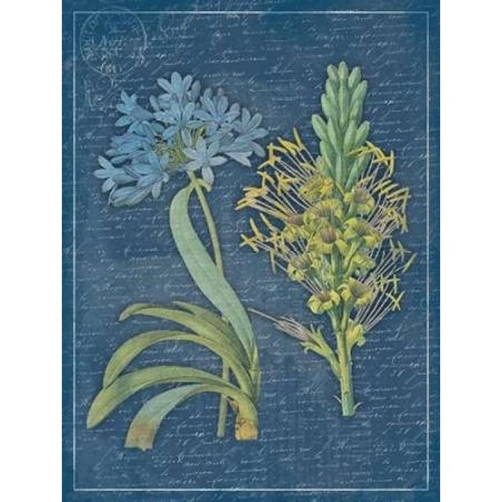 Blue print floral Poster Print by Jace Grey-VARPDXJGRC232A Image 1