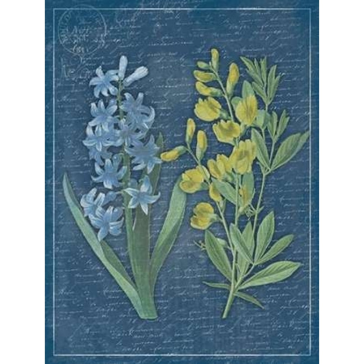 Blue Print Floral Mate Poster Print by Jace Grey-VARPDXJGRC232B Image 1