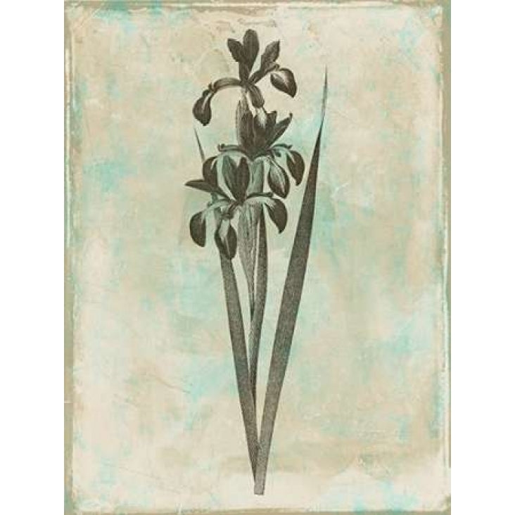 Earthy Floral Blend Poster Print by Jace Grey-VARPDXJGRC255B2 Image 1