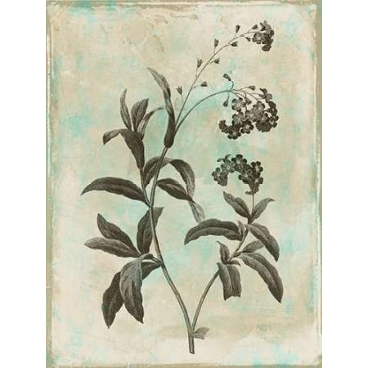 Earthy floral 1 Poster Print by Jace Grey-VARPDXJGRC255A2 Image 2